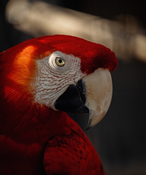 It is a long established fact 